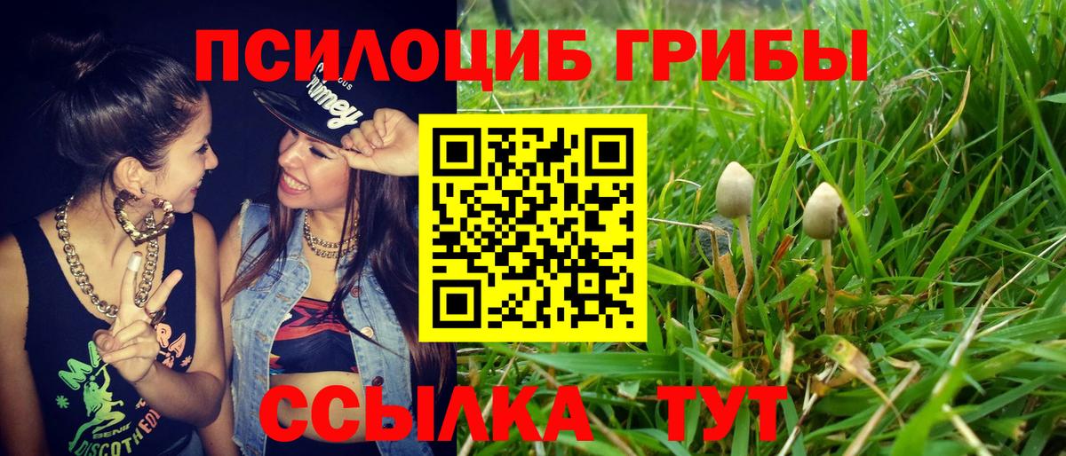 Галлюциногенные грибы мухоморы Сатка